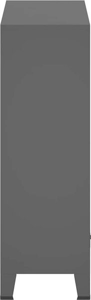 VidaXL Industriální šatní skříň 67 x 35 x 107 cm ocel [339611] Barva: Černá