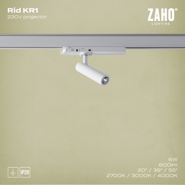 ZAHO Reflektorové LED svítidlo RID KR1, 6W, v. 110 mm, 55° Barva: Bílá, Teplota světla: 3000K - teplá bílá