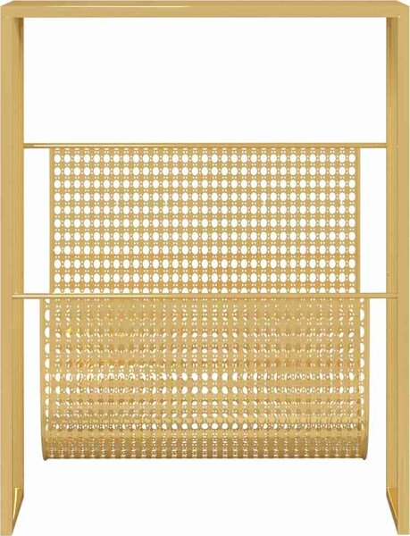 VidaXL Stojan na časopisy 35 x 15 x 45 cm ocel [331668] Barva: Černá