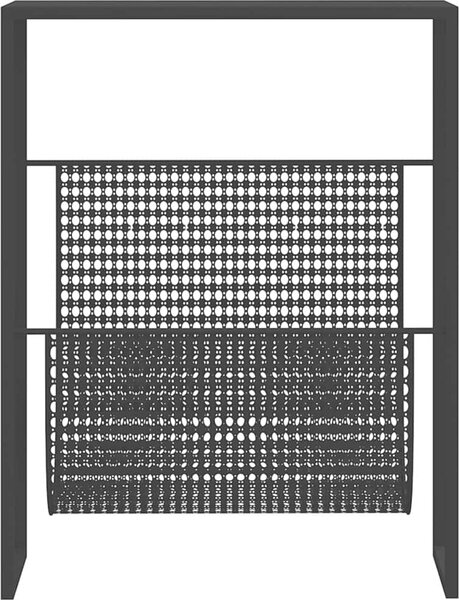 VidaXL Stojan na časopisy 35 x 15 x 45 cm ocel [331668] Barva: Černá