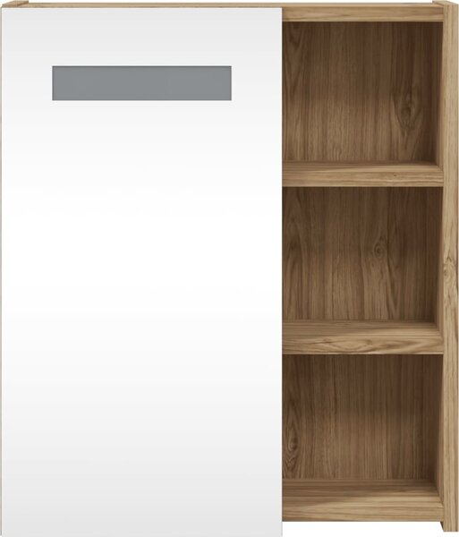 VidaXL Koupelnová zrcadlová skříňka s LED osvětlením 45x13x52 cm [357968] Barva: Černá