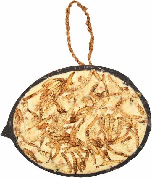 VidaXL Kokosové půlky plněné krmivem pro ptáky 10 ks 290 g [170901]