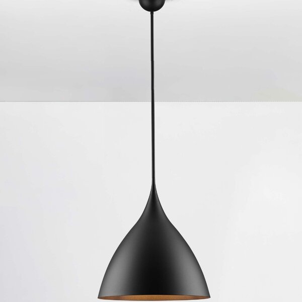 -25 % Dny MOMENTI– Černé kovové závěsné světlo Nova Luce Syntopia 46 cm