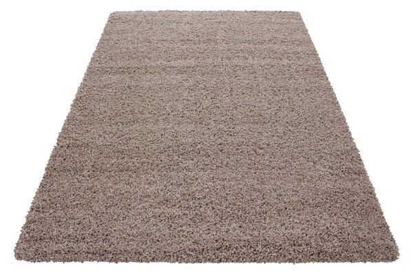 Kusový koberec Dream Shaggy 4000 beige 120x170 cm