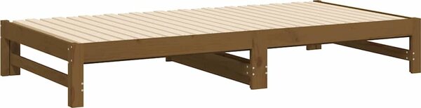 VidaXL Výsuvná postel 2x (80 x 200) cm masivní borovice [823410] Barva: Přírodní