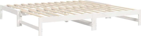 VidaXL Výsuvná postel 2x (80 x 200) cm masivní borovice [823410] Barva: Přírodní