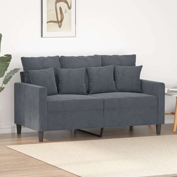 VidaXL 2místná pohovka 120 cm samet [359296] Barva: Tmavě šedá