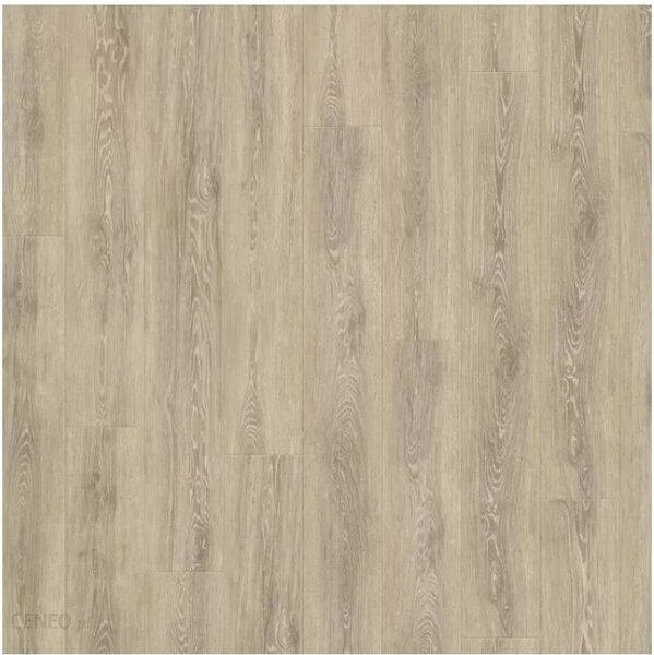PVC podlaha Easytex Pure oak 619L - 4x2,5m (RO)