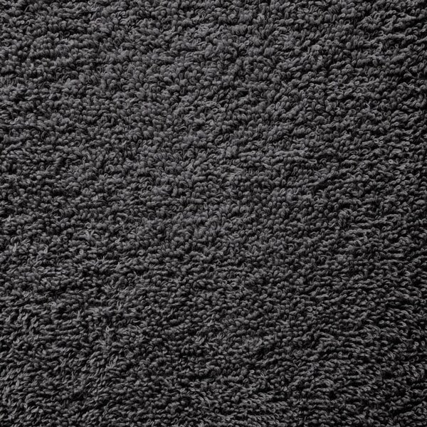 VidaXL Prémiové mycí utěrky SOLUND 10 ks 30x30 cm 600 g/m² [137118] Barva: antracitová