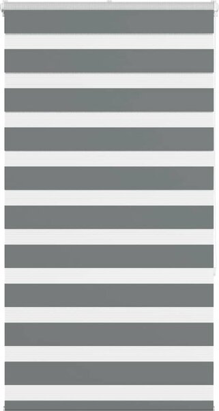 VidaXL Zebra roleta šířka látky 70,9 cm polyester [4014750] Barva: světle šedá