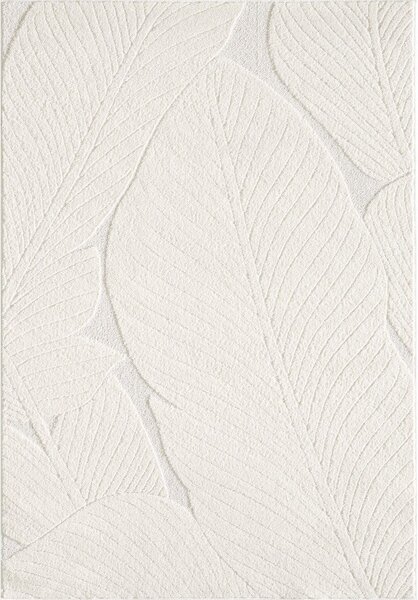 Krémový koberec 120x170 cm Lamina – ESTE