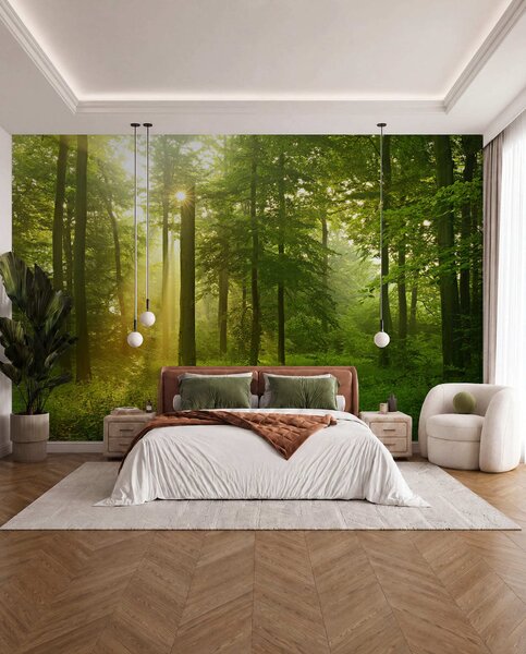 Fototapety Ticho ve slunném lese, Fototapety příroda, u57295 : uwalls.cz