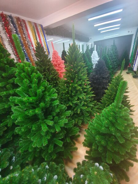 JAKS Vánoční stromek jedle zelená 260 cm