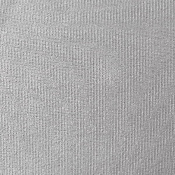 VidaXL Dětská rozkládací pohovka 2místná měkký plyš [357023] Barva: světle šedá