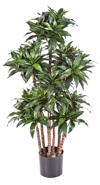 Umělá palma Dracena COMPACTA deluxe, 120cm