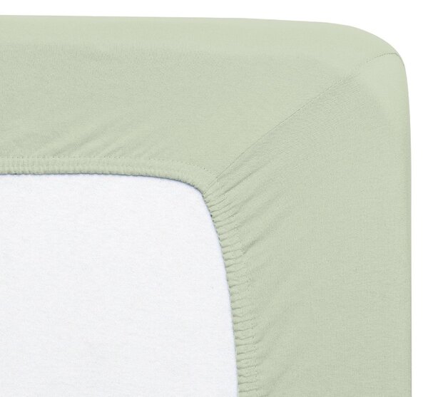 Florella Prostěradlo Solit Jersey Pastell Gruen Zvolte jeden rozměr prostěradla: 90-100x200 cm