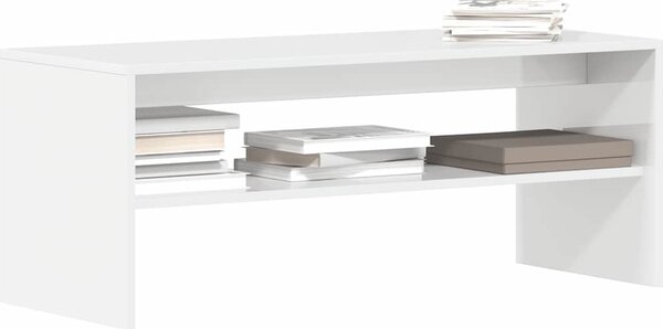 VidaXL TV skříňka 100 x 40 x 40 cm kompozitní dřevo [862402] Barva: Bílá