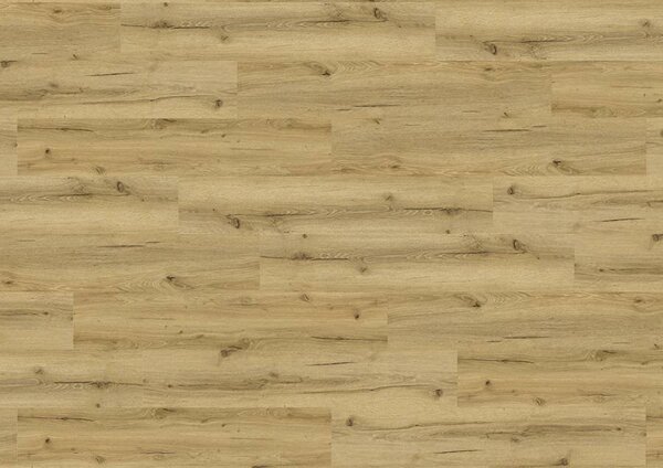 Vinylová SPC Ablux podlaha SolidCORE X-Cellente - Dub Erica 80101