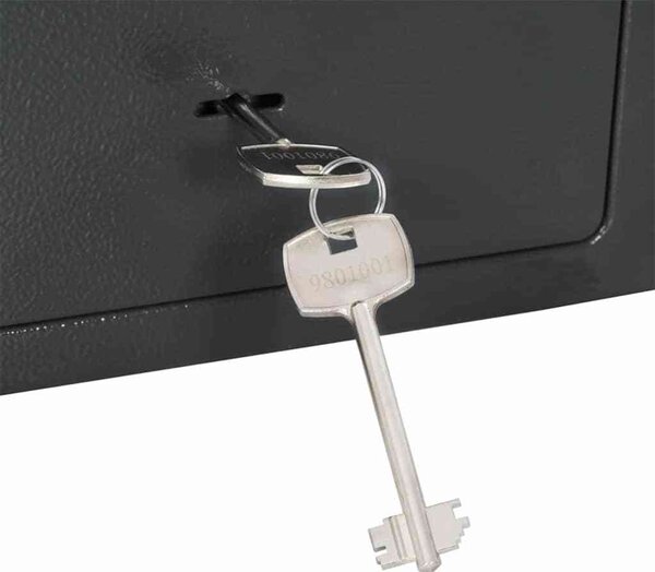 VidaXL Trezor se zámkem Tmavě šedá 23 x 17 x 17 cm Ocel [42011313]