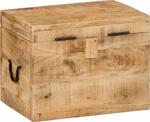 VidaXL Úložný box 39 x 28 x 31 cm masivní mangovníkové dřevo [338483]