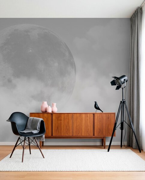 Fototapety Velký měsíc mezi mraky šedé barvy loft stylu, Fototapety space, w00548v1 : uwalls.cz