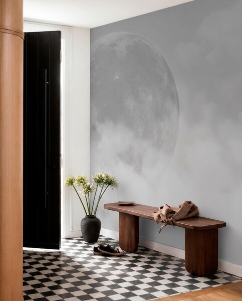 Fototapety Velký měsíc mezi mraky šedé barvy loft stylu, Fototapety space, w00548v1 : uwalls.cz