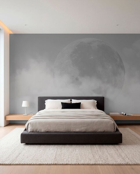 Fototapety Velký měsíc mezi mraky šedé barvy loft stylu, Fototapety space, w00548v1 : uwalls.cz