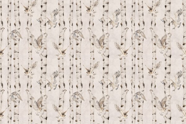 Tapeta břízy - Birch and Owls White Materiál: Digitální eko vlies - klasická tapeta nesamolepicí