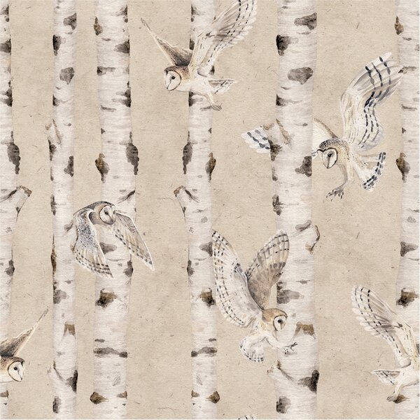 Tapeta břízy - Birch and Owls Beige Materiál: Digitální eko vlies - klasická tapeta nesamolepicí