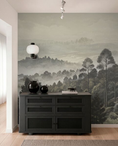 Fototapety Hustý les a mlhavé údolí, Fototapety příroda, w01871 : uwalls.cz