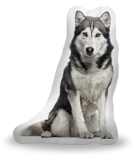 Sablio 3D polštář ve tvaru Sibiřský husky