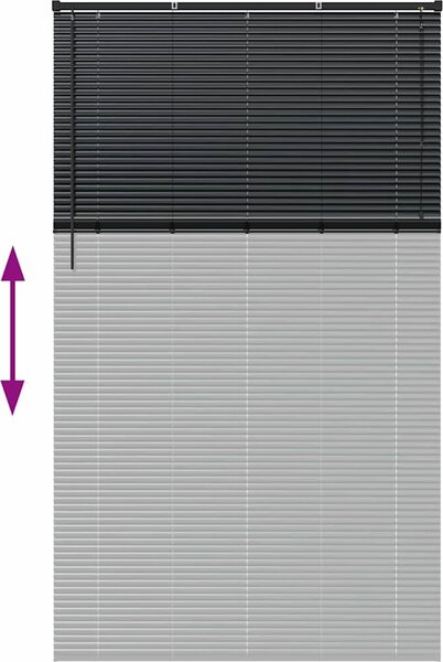 VidaXL Venet školní žaluzie 220 x 135 cm 25 mm Hliník [42006179] Barva: Tmavě šedá
