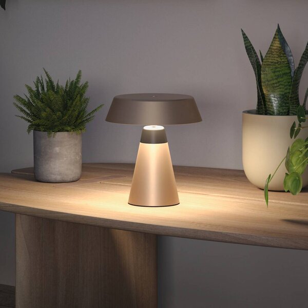 Paulmann LED stolní lampa Lirox s akumulátorem, béžová/černá, 20 cm, IP44, stmívatelný, Krémová / jantar, Obývací pokoj / jídelna, kov, Moderní
