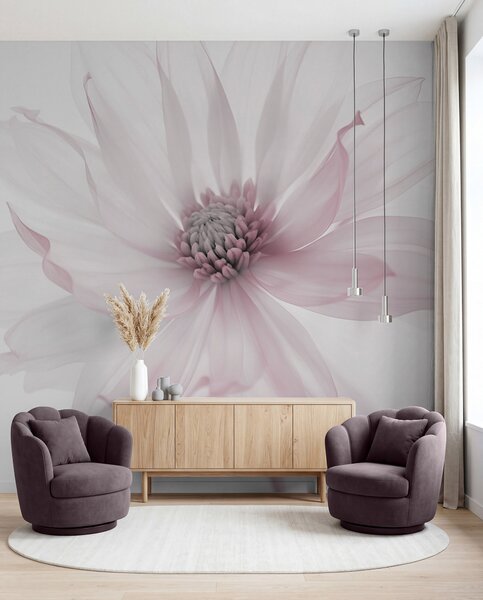 Fototapety Jemná růžová květina na světlém pozadí, Fototapety květiny, w02077v2 : uwalls.cz