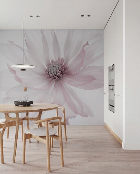 Fototapety Jemná růžová květina na světlém pozadí, Fototapety květiny, w02077v2 : uwalls.cz