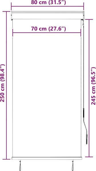 VidaXL Roleta 80 x 250 cm Textil a hliník [145950] Barva: antracitová