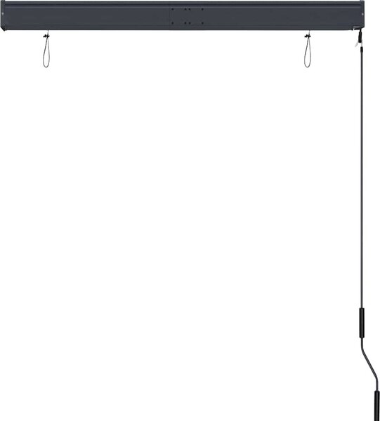 VidaXL Roleta 120 x 250 cm Textil a hliník [145962] Barva: antracitová