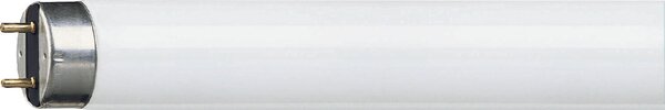 MASTER TL-D Super 80 1m 36W/840 SLV/25 Lineární zářivka 36W 3100lm