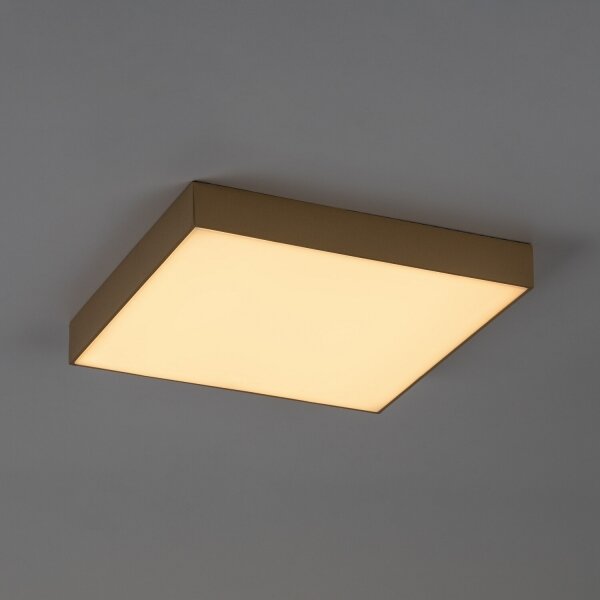 Rabalux 77000 - LED Koup stropní svítidlo TARTU 24W/230V 2800/4000/6000K IP44