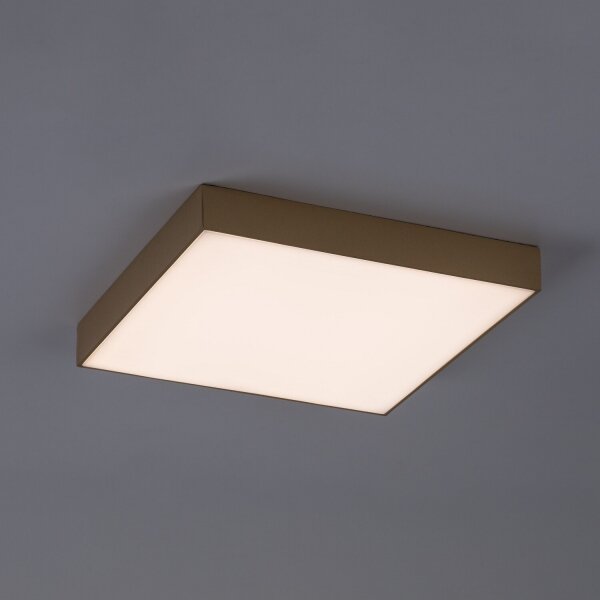 Rabalux 77000 - LED Koup stropní svítidlo TARTU 24W/230V 2800/4000/6000K IP44