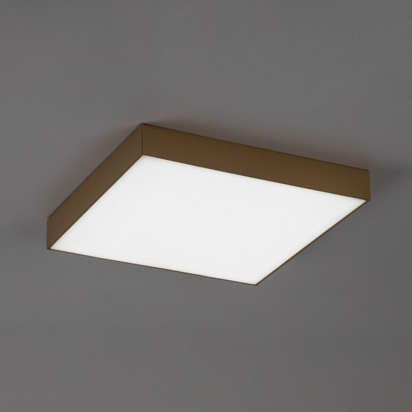 Rabalux 77000 - LED Koup stropní svítidlo TARTU 24W/230V 2800/4000/6000K IP44