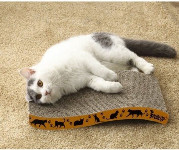 Leopet 22037 Škrabadlo kartonové 42 cm