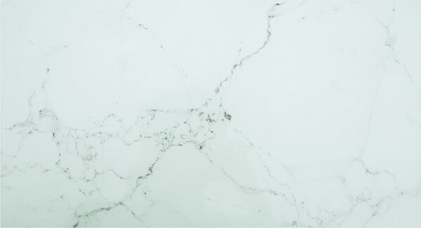 VidaXL Stolní deska 120x65 cm 8 mm tvrzené sklo mramorový design [243634] Barva: Černobílý