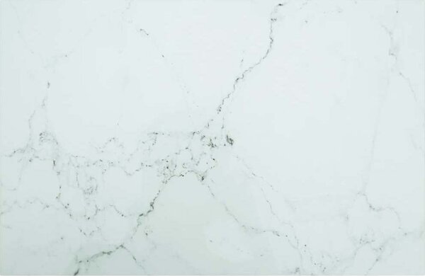 VidaXL Stolní deska 100x62 cm 8 mm tvrzené sklo mramorový design [244621] Barva: Bílá