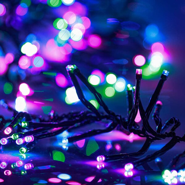 VidaXL Světelný LED řetěz trs se 2 000 LED diodami modrý PVC [343245] Barva: Teplá bílá a tmavě zelená