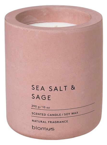 Vonná sojová svíčka doba hoření 55 h Fraga: Sea Salt and Sage – Blomus