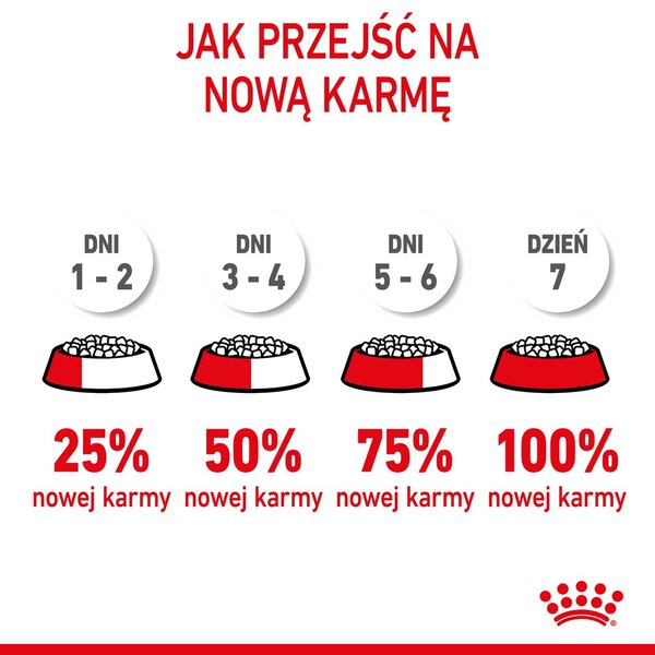 Royal Canin Kitten suché krmivo pro kočky 10 kg Kotě