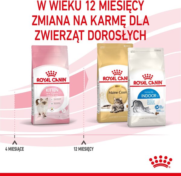 Royal Canin Kitten suché krmivo pro kočky 10 kg Kotě
