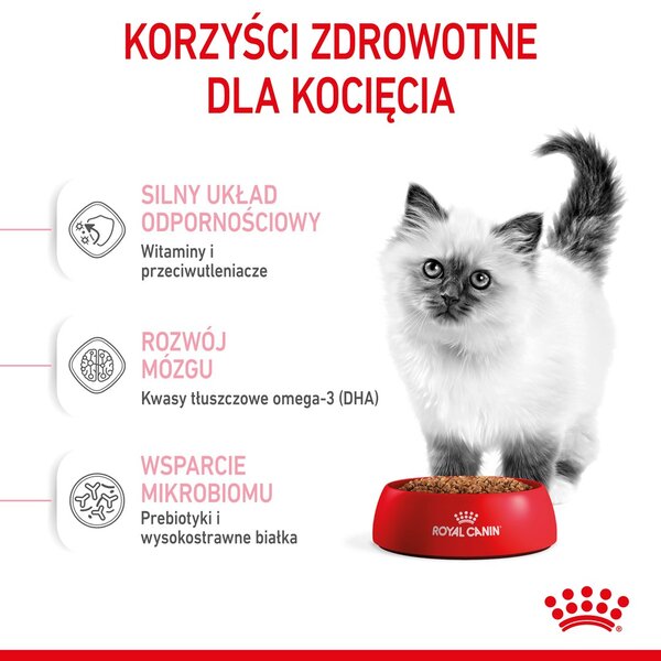 Royal Canin Kitten suché krmivo pro kočky 10 kg Kotě