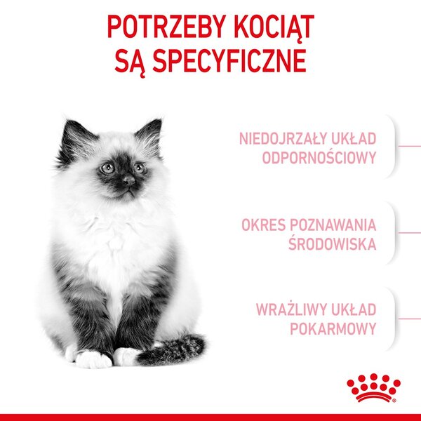 Royal Canin Kitten suché krmivo pro kočky 10 kg Kotě